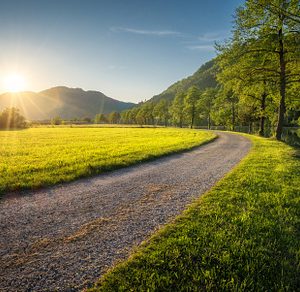 Gravel road winding through idyllic