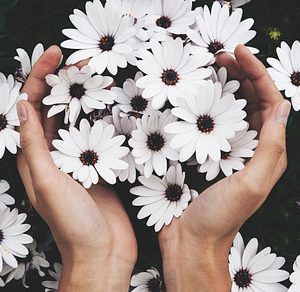 Hands Holding Flowers