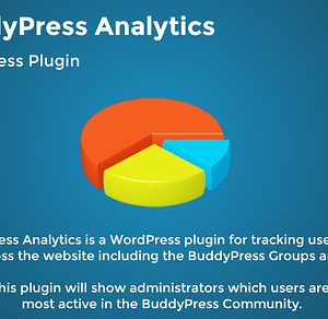 BuddyPress Analytics
