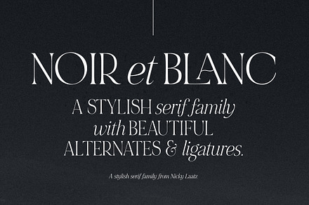 NOIR et BLANC Stylish Serif