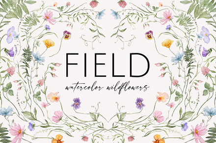 FIELD watercolor wildflowers