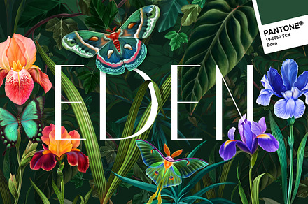 EDEN. Fresh trend!