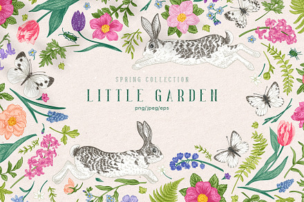 Little garden