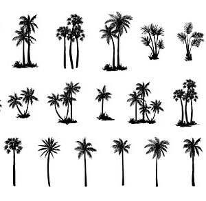 Hand drawn palm tree set