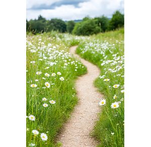 Winding Path Through a Meadow of