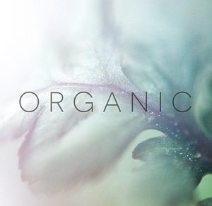 Organic | 20 Botanical Photos